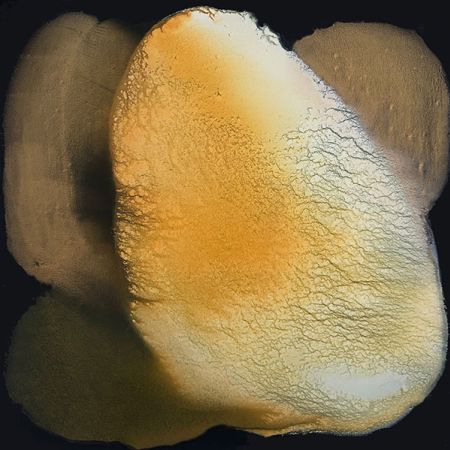 2020/Julie_Corbet-oil_on_board_kaluste-06_1468-40x40