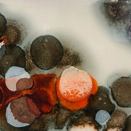 2019/Julie_Corbet-resin_on_board_21-alsure_02-resine_5894-18x13