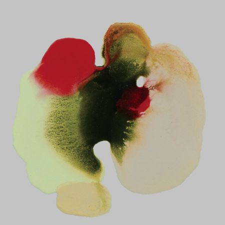 2015/Julie_Corbet-oil_on_board-Epeira_II-25x25