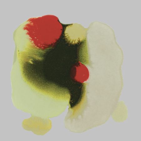 2015/Julie_Corbet-oil_on_board-Epeira_I