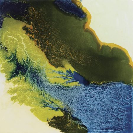 2015/Julie_Corbet-oil_on_board-Zonaria_I-40x40