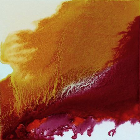 2016/Julie_Corbet-oil_on_board-Cristatella_I-40x40-Sold