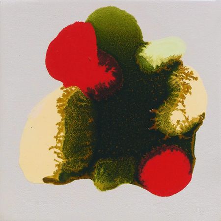 2015/Julie_Corbet-oil_on_board-Alucita_III-15x15