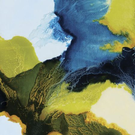 2015/Julie_Corbet-oil_on_board-Zonaria_V-64x91-Sold