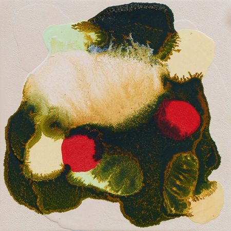 2015/Julie_Corbet-oil_on_board-Alucita_I-15x15