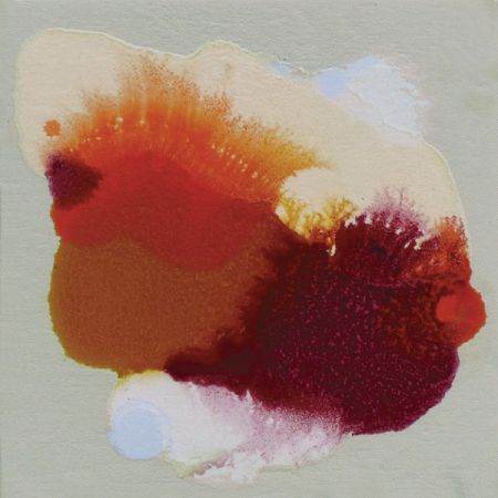 2015/Julie_Corbet-oil_on_board-Linantha_IV-15x15