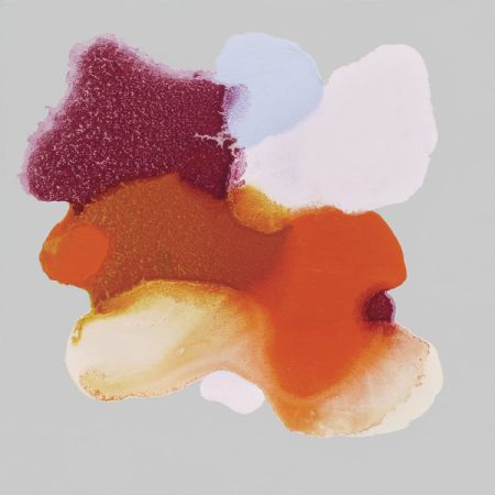 2015/Julie_Corbet-oil_on_board-Linantha_I-40x40