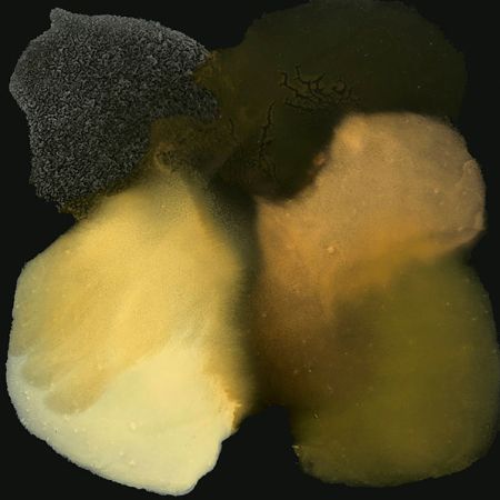 2020/Julie_Corbet-oil_on_board_kaluste-13_40x40_1542