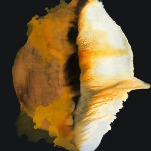 Julie_Corbet-oil_on_board_kaluste-01_9972-120x120_2020