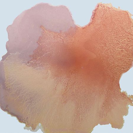 2019/Julie_Corbet-oil_on_board_13-asu_07_4550-40x40