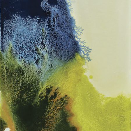 2015/Julie_Corbet-oil_on_board-Zonaria_VI-64x91-Sold