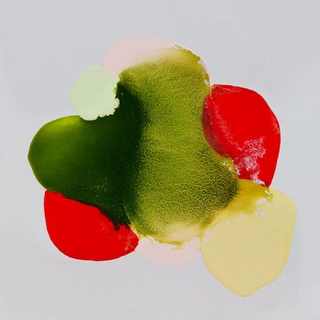 2015/Julie_Corbet-oil_on_board-Alucita_IV-40x40