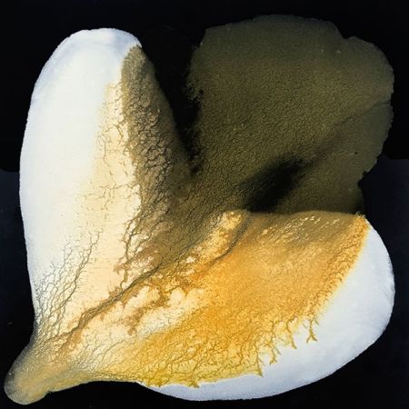 2020/Julie_Corbet-oil_on_board_kaluste-12_1481-30x30