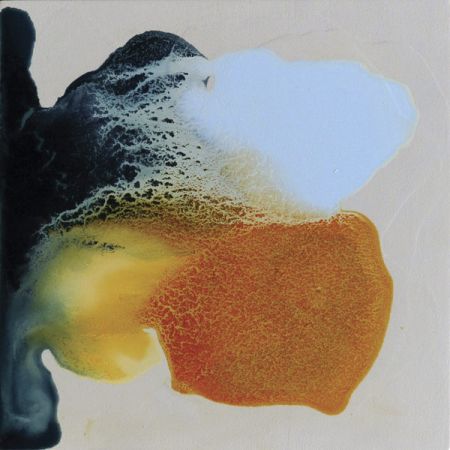 2016/Julie_Corbet-oil_on_board-Limulus_III-30x30