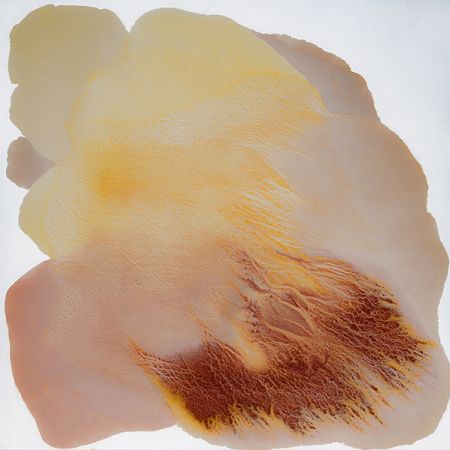 Julie_Corbet-oil_on_board_Indus_120x120cm-2025