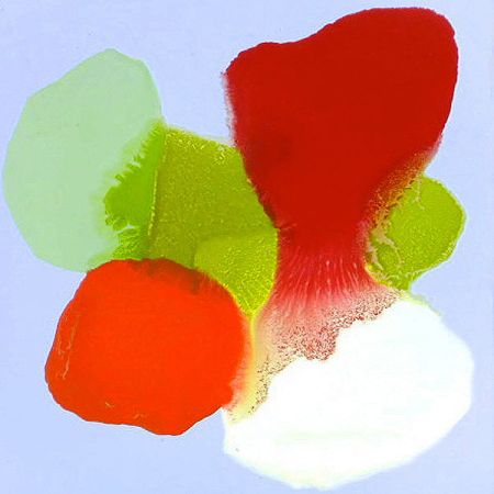 2015/Julie_Corbet-oil_on_board-Tapa-30x30-sold