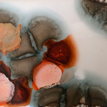 2019/Julie_Corbet-resin_on_board_20-alsure_01-resine_5772-18x13