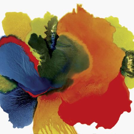 2015/Julie_Corbet-oil_on_board-Hyla-100x120-Sold