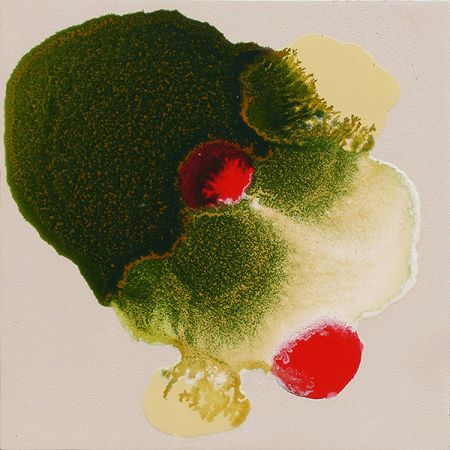 2015/Julie_Corbet-oil_on_board-Alucita_II-15x15