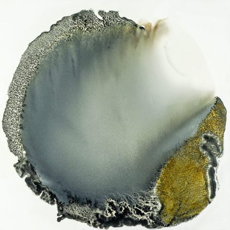 2018/Julie_Corbet-oil_on_board-The_Source-40x40